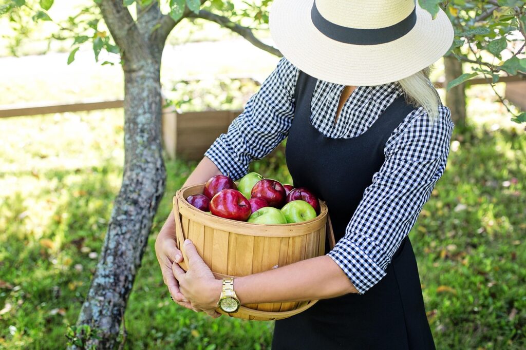 Woman holding a bushel of apples. Secure retirement