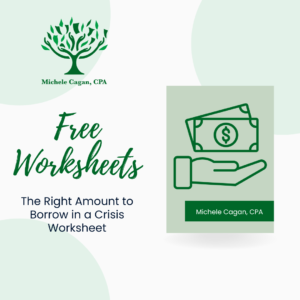 The Right Amount to Borrow in a Crisis Worksheet